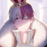 ❄todoroki shoto🔥
