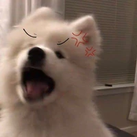 มอมิน