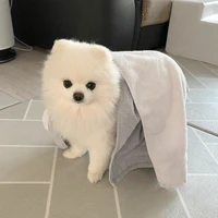น้องข้าวโอ๊ต