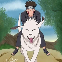 Kiba