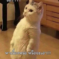 แอด!!!