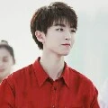 หวัง ซ่านจวิน