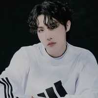 Hoseok | Melhor Amigo do JI