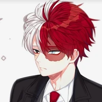 °Shoto Todoroki°