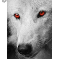 luna lobo