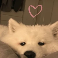 แอด