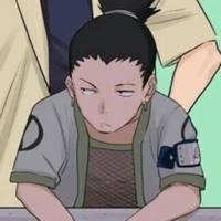 𖥻☁┆Shikamaru