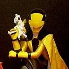 Lupin Yellow