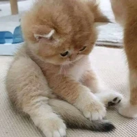 ไวโอเล็ต(ตอนเด็ก)