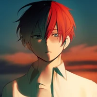 Todoroki