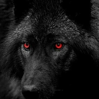 lobo