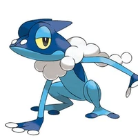 seato frogadier