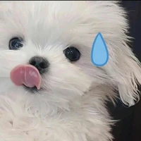 แอดเอง