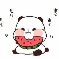 °||Little•Panda||°