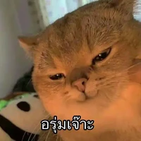 แอดคนสวย