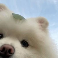 มูชิมูชิ^⁠_⁠^