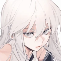 Y/n