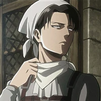 Levi