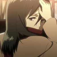 kid mikasa