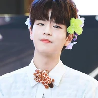 Príncipe Kim seungmin