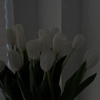 𝐀𝐥𝐥