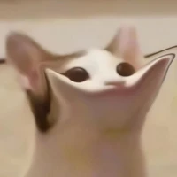 แอด👀😼