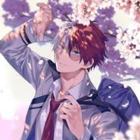 🔥todoroki❄