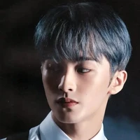 jung mark