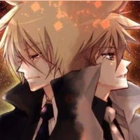 แฝดซาวาดะ