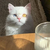 อาร์เซนอล