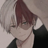 todoroki
