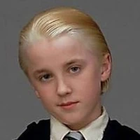 เดรโก มัลฟอย(ปี1-2)