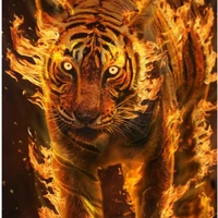 Harimau api