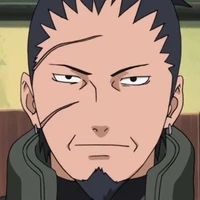 nara shikaku