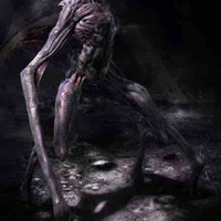 . Anima-oculus-Aranea.