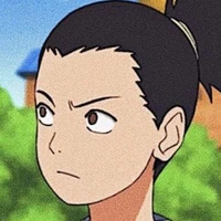 shikamaru nara ( a.p.d)
