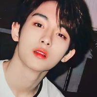 nakamoto winwin