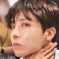 Jung Hoseok [ Main Dancer, Sub Rapper ]