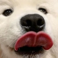 อะไร?