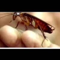 พวกปีศาจ