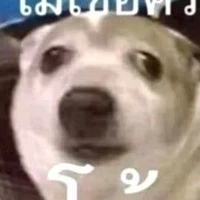 แงว