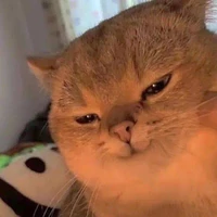 แอดเอง