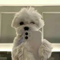 อีแอดคนชั่ว