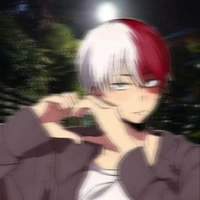 shoto todoroki