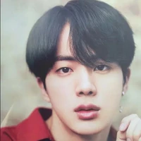 Jin [ Acompanhante De Yoongi ]