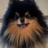 yeontan