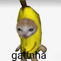 todos