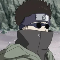 Shino .A. (O.P Lobo)