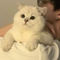 ชูก้า😾(ผ.ช)