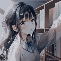 Y/N